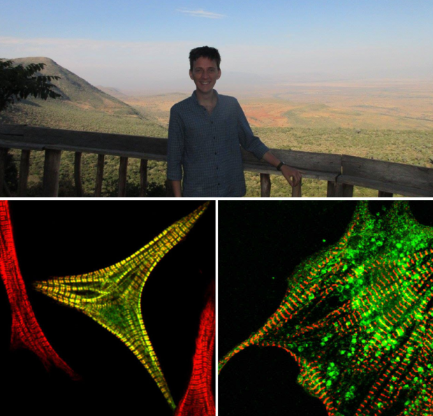 Top image shows Matt Tyce, a PhD student secondee at the Open Innovation Team, with a view of the Rift Valley in Kenya behind him. Bottom image shows biological cells lit up against a black background