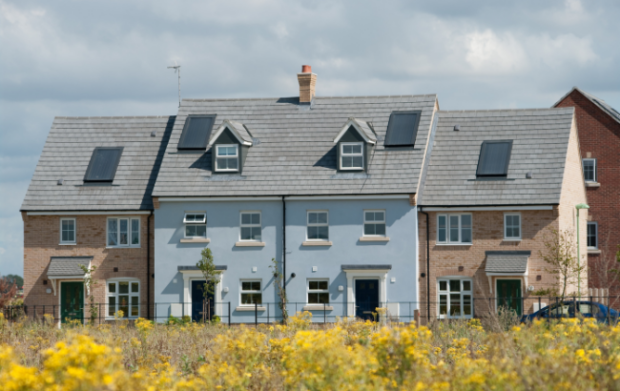 Small site development with wildflowers