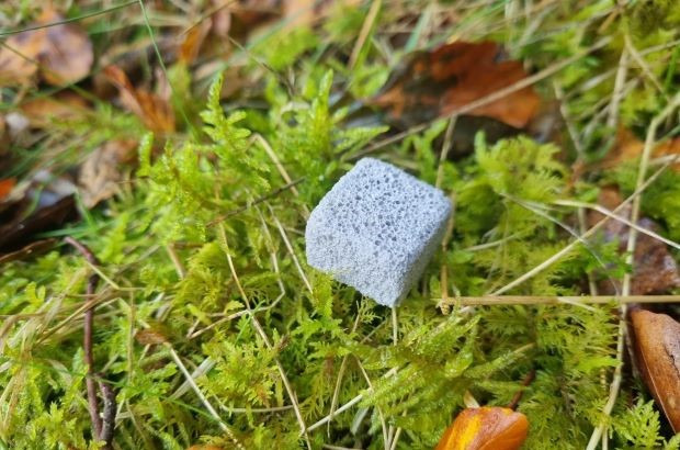Photograph of a small, gray, porous pellet resting on bright green moss with scattered dry leaves and grass around.