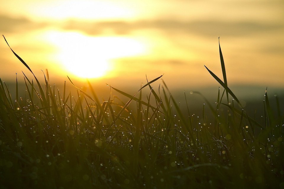 Sunset to reflect a new dawn for disability