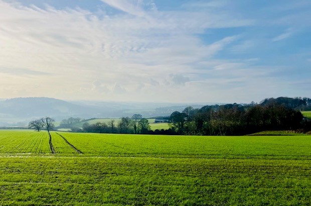 A wide, sunlit landscape of green fields with visible tractor lines in the foreground, gently rolling hills in the distance, and a mix of scattered trees and wooded areas under a bright, partly cloudy sky.