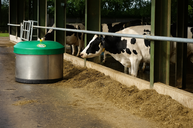 A cylindrical silage pusher with a green top sits on the left side of a covered barn walkway. Several black‑and‑white cows stand behind a metal railing on the right, eating from a long line of feed on the ground. The scene is inside an open‑sided livestock shelter with green support beams and concrete flooring.