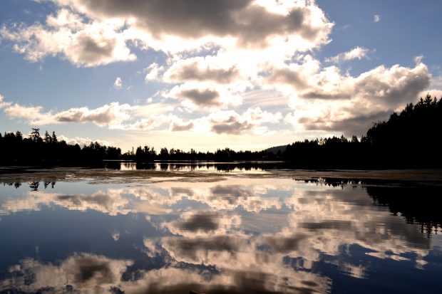 Treeline reflection on a lake