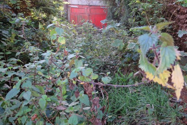 Overgrown land; is it registered?