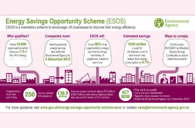 ESOS infographic