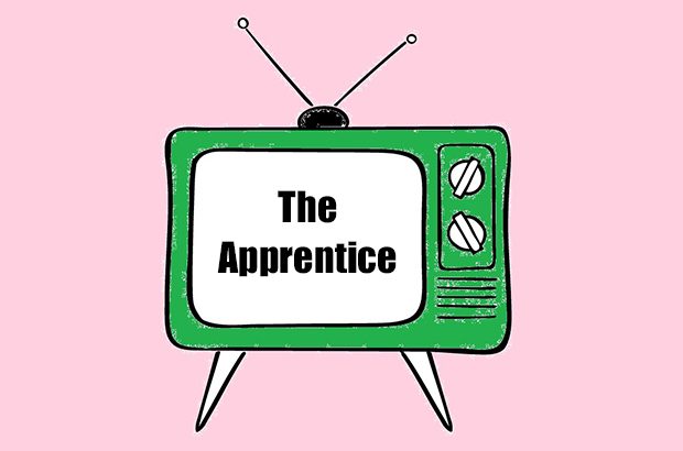 Image of TV with The Apprentice written on it.