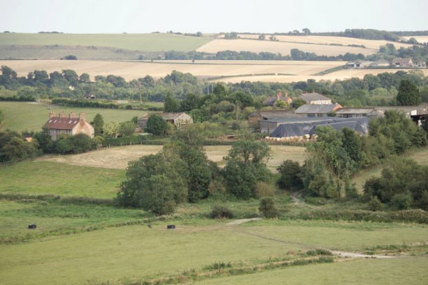 Green fields with trees and houses around them.