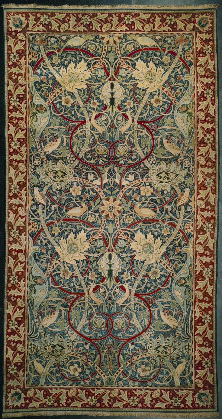 Carpet top image