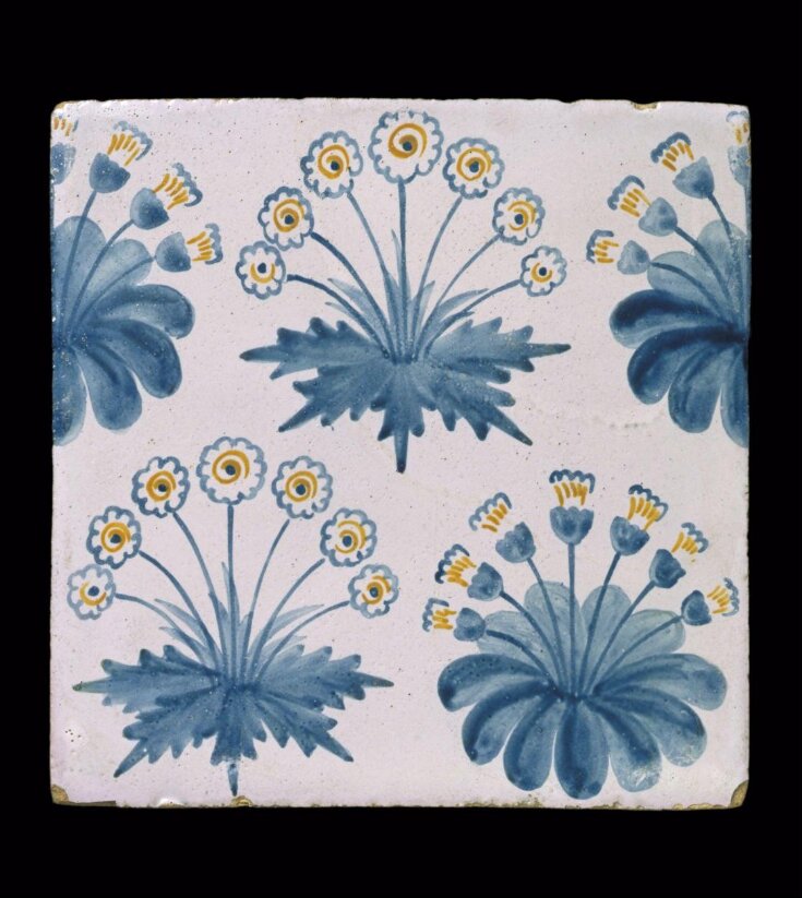 Daisy top image