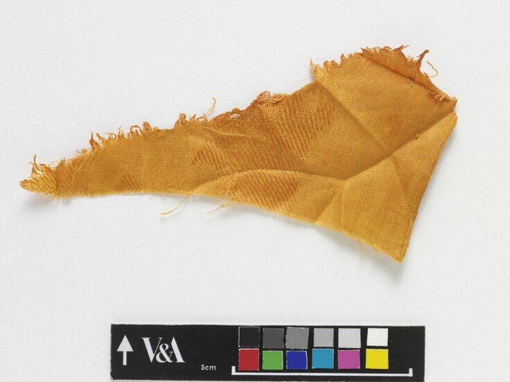 The Stein Collection top image