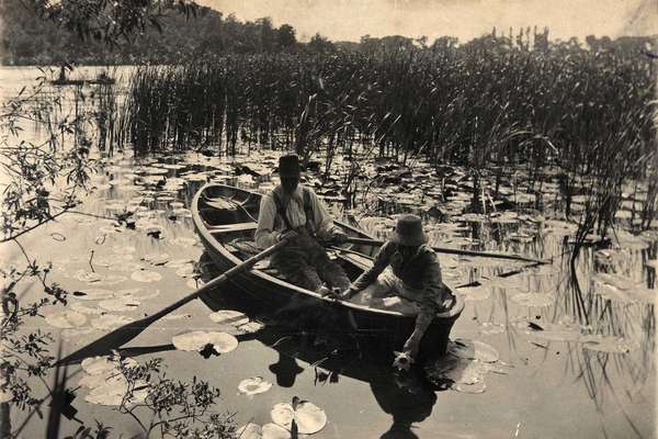 A photograph of two Victorian men in a rowing boat. The river is full of waterlilies and they are gathering the flowers.