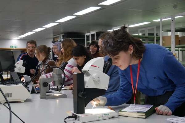 People stand at desks in the conservation studio and look at parchment through microscopes.