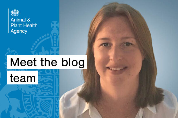 Image of a female, looking at the camera with the title, "Meet the blog team" written next to her. The APHA logo also appears.