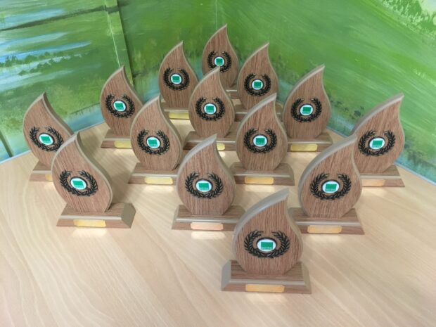 Award trophies lined up on a table
