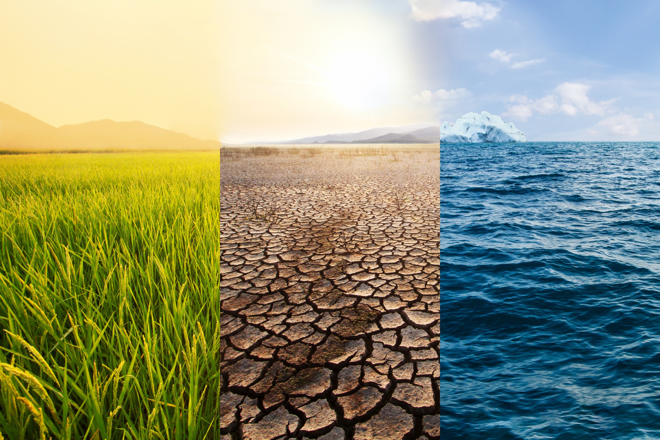 Image divided into thirds - a green field in sunlight, cracked earth of a desert landscape and the ocean with an iceberg on the horizon. Credit: iStock Photo