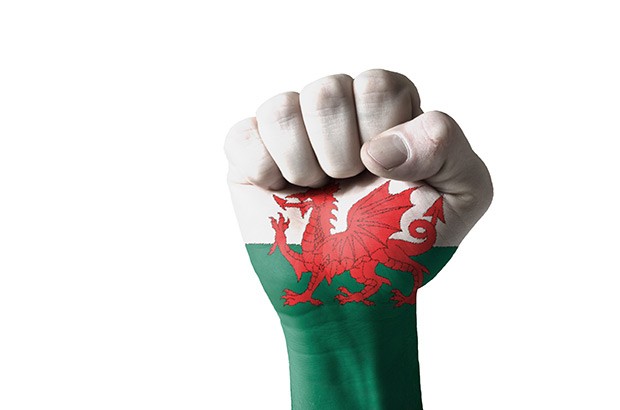 Welsh flag