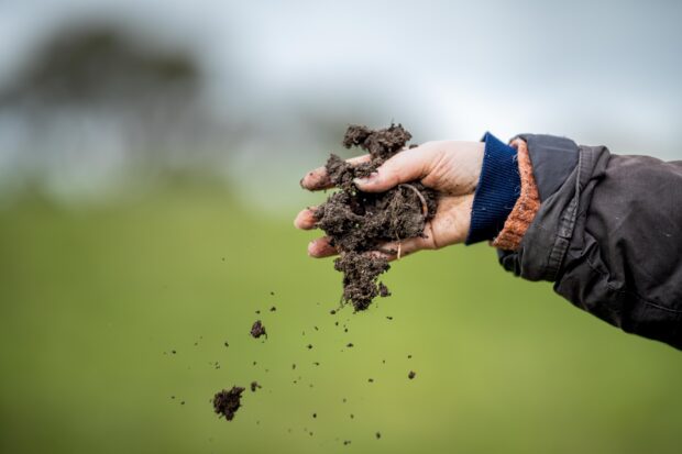 woman in agriculture looking at a soil sample