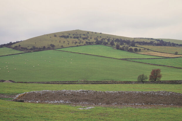 A rural landscape