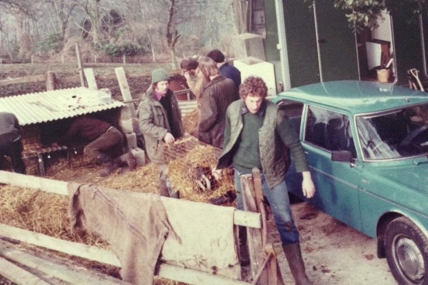 Individuals carrying a cage with hay with badgers inside.