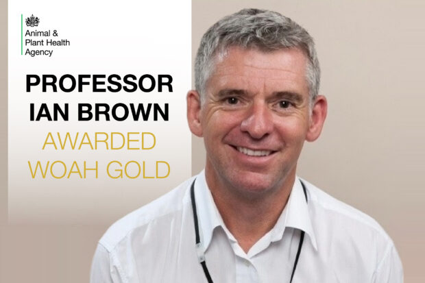 Image of a male in a white shirt smiling at camera. The text, "Professor Ian Brown awarded WOAH gold" is displayed. The APHA logo is also shown.