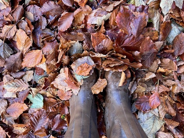 Image is looking down at two brown leather boots, which are stood on top of brown, crunchy autumnal leaves.