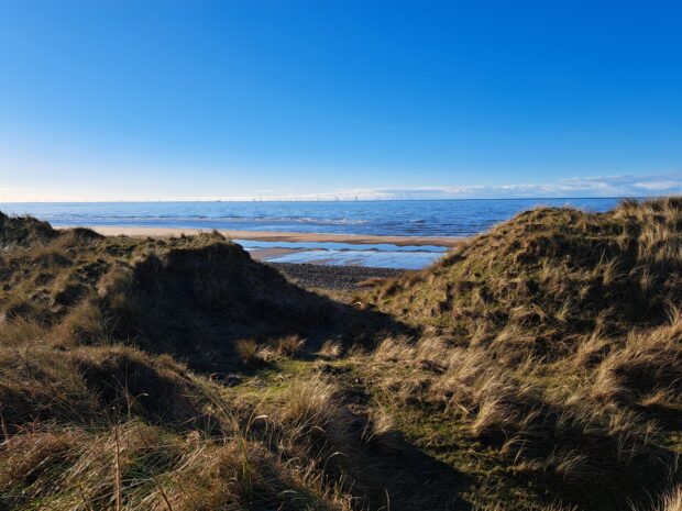 Image shows large brown sand dunes in the foreground, covered in brown and green grasses. Behind you can see the bright blue sea stretching out to the horizon. A vast clear blue sky hangs overhead.