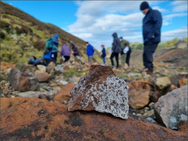 A white and rust-brown rock is in focus, in front of a group of people looking for minerals in a stream bed.