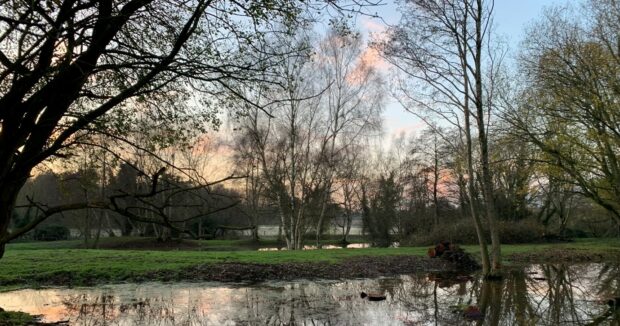 Photo of a pond with overhanging trees. It's dusk and the sun has just set in the background, a few pink coloured clouds hang in the sky. A green bank can be seen on the opposite side of the pond, which reflects the sky and trees.