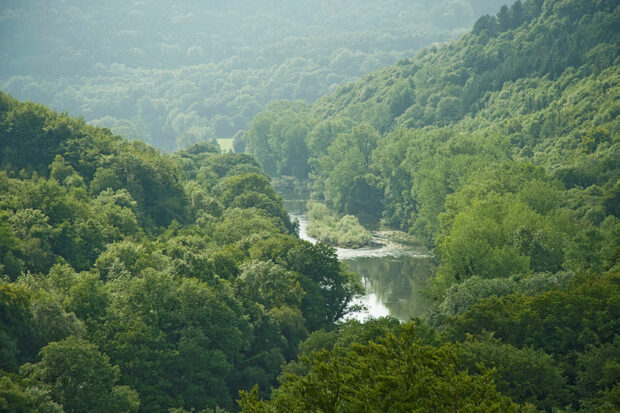 Wye Valley