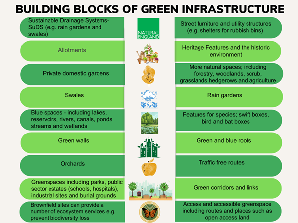 Alt text: chart showing key components of Green Infrastructure design including; allotments, rain gardens, green walls, green and blue roofs, traffic free routes, green corridors and links, greenspace (parks, public sector greenspace, industrial sites, cemeteries), brownfield sites delivering ecosystem service, open access land, Swales blue spaces (lakes, rivers, canals, wetlands, ponds, streams, SuDS, street furniture, private gardens, orchards, features for species (e.g. bat boxes) and heritage features.