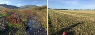 Left: a photograph showing a bog pool in the Lake District, surrounded by peatland vegetation, with mountains in the distance.Right: a photograph showing an arable field on lowland peat.