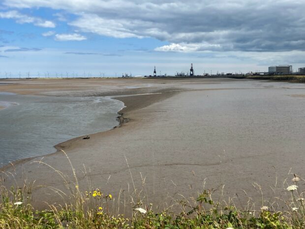 Photo of Seal Sands which is part of the Teesmouth and Cleveland Coast SPA and RAMSAR site