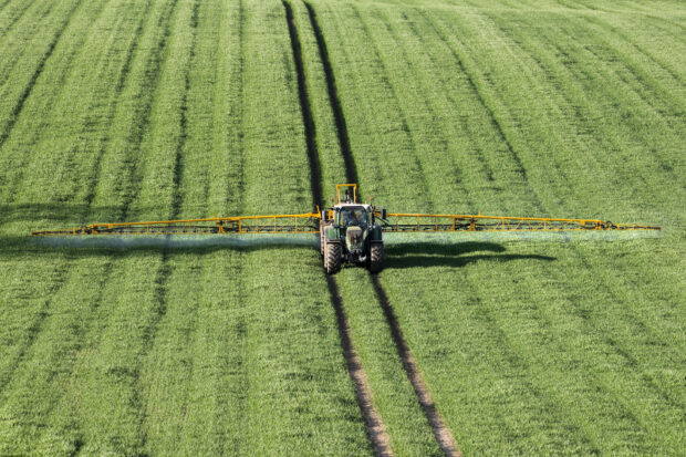 Spraying fertiliser on wheat crop