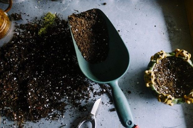 A gardening trowel on a surface with some soil in and spilt next to it. There is a small plant pot to the right of the trowel