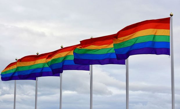 This image shows rainbow flags which represents the LGBT+ community.