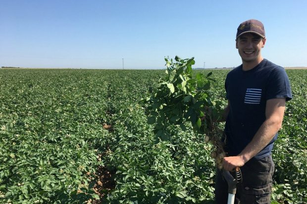 James Pick in an arable field on his farm