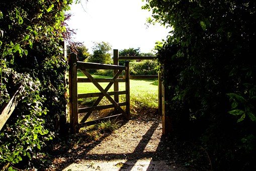 Gate opening into a sunlit field