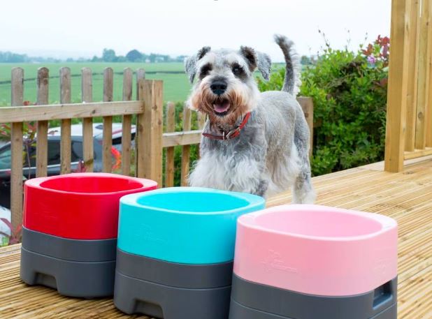 Grey dog standing on decking green grass field background weighted dog bowl