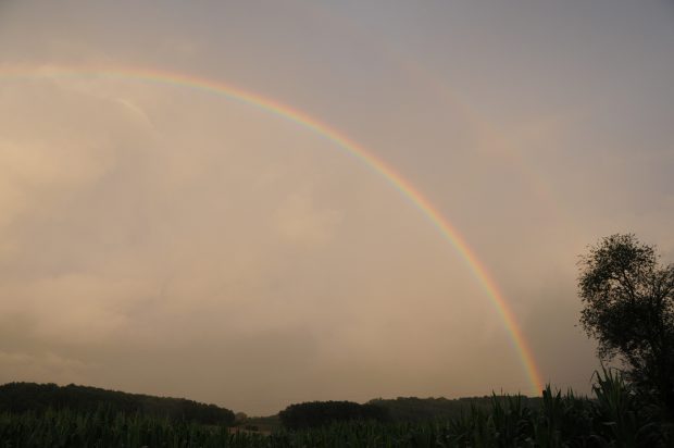 Rainbow arching over a field