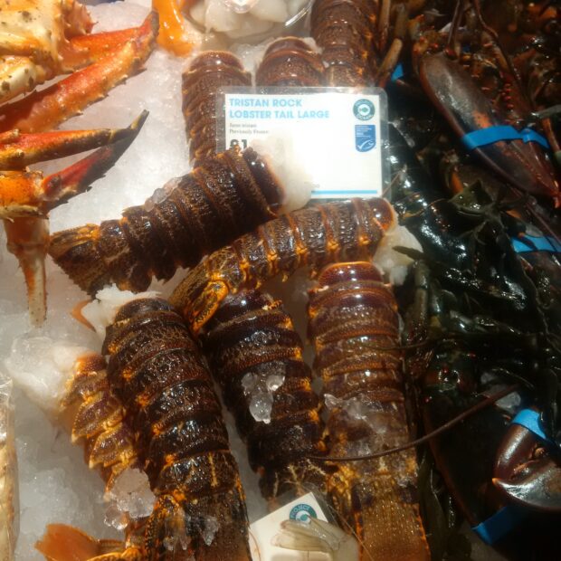 Tristan da Cunha Rock Lobster on sale at Selfridges this December. (© Matthew Couchman, Southbank Fresh Fish)