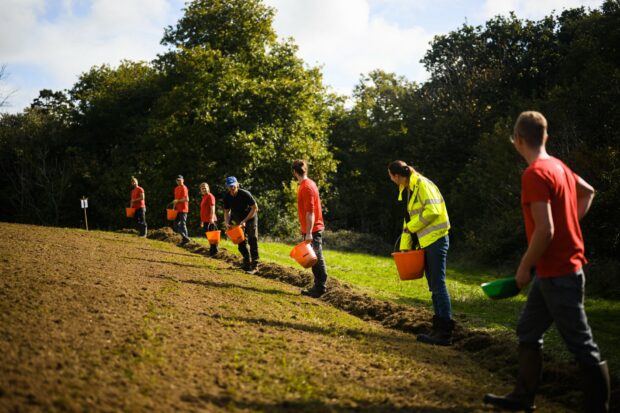 National grid seed planting by a group of people for Plymouth City Council.