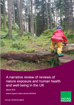 Image shows the front page of the evidence report, which uses the above picture of the boy in the red jacket within a forest.
