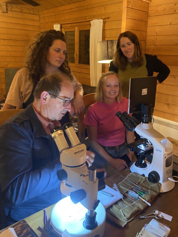 Examining the new species under the microscope, in the field lab later the same day. Credit: Debbie Winton - Natural England
