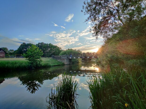 A river at sunset with plants in the foreground, trees lining the river banks and a metal bridge in the distance