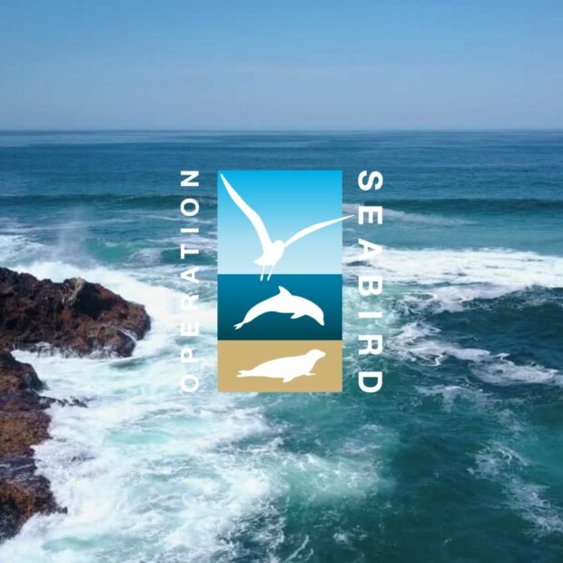 Operation Seabird logo