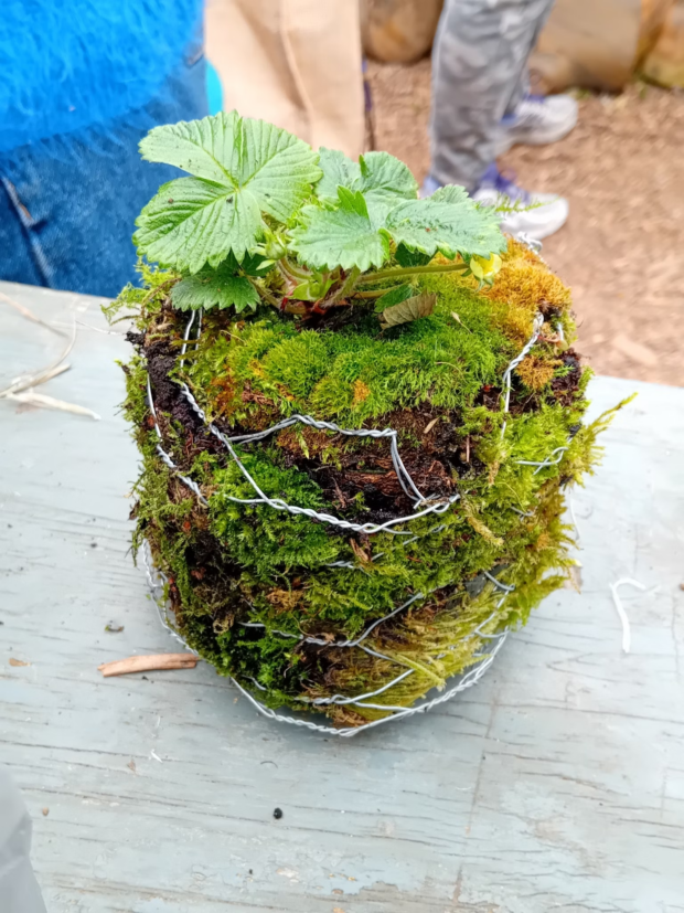 This beautiful planter was made at Forest Farm Peace Garden's event during the Happier Outdoors Festival last year.