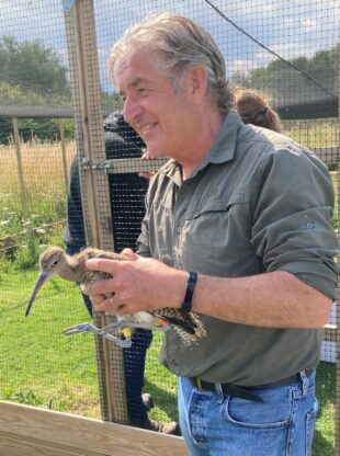 Tony Juniper holds a young curlew chick whilst visiting the curlew translation project at Pensthorpe Natural Park in Norfolk.