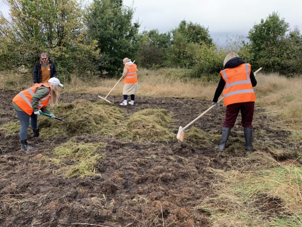 image shows people dressed in orange high-vis jackets, working on the land, they are volunteers from HomeServe, a multinational company based in Walsall, which help Walsall Council staff spread green hay rich in Tormentil to help the Tormentil Mining Bee at Pelsall North Common.