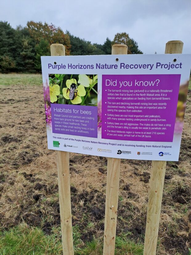 image shows signs that explain the project to help people visiting the local park understand the value of the changes in vegetation management for pollinators.