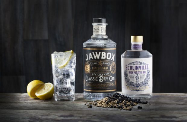 A glass of gin and tonic on a table next to two bottles of Gin labelled Jawbox and Echlinville.